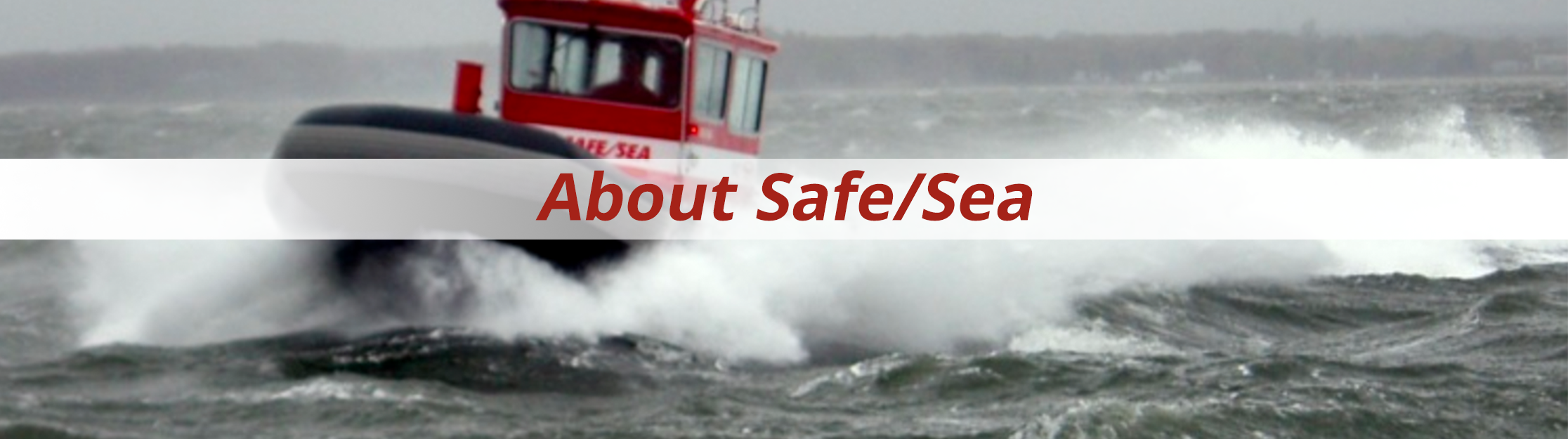about_safesea_new2